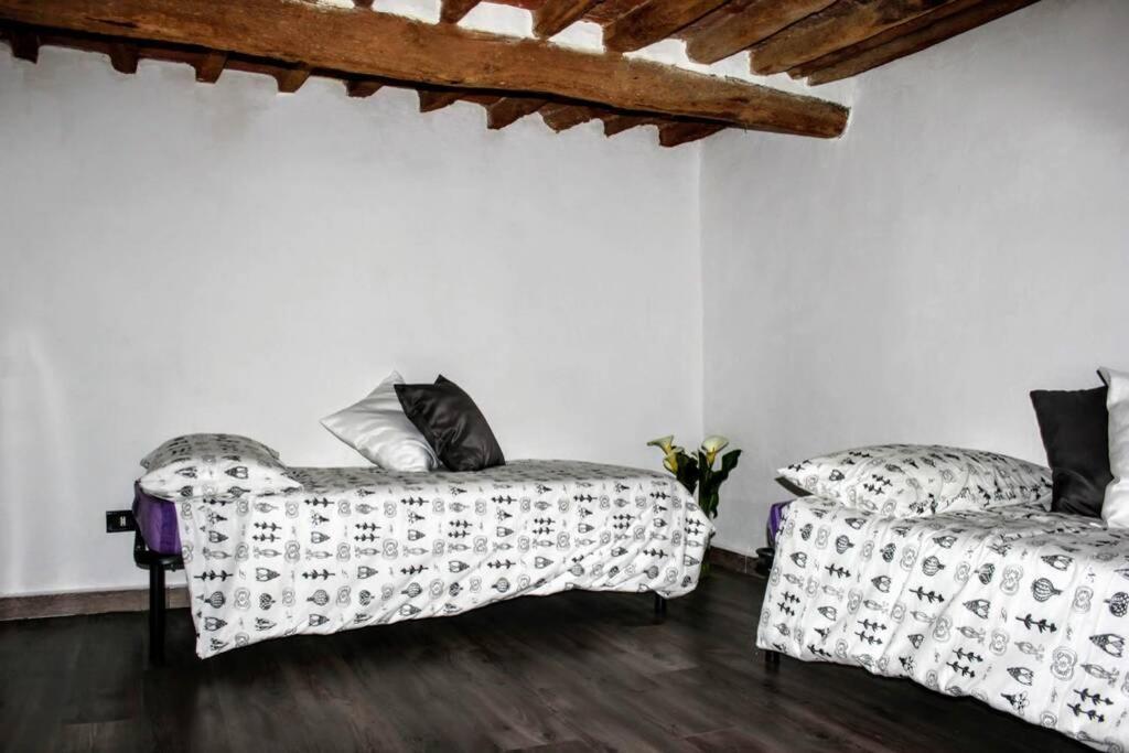 Panoramic And Beautiful House 4Km From The Sea. Villa Rosignano Marittimo Exterior photo